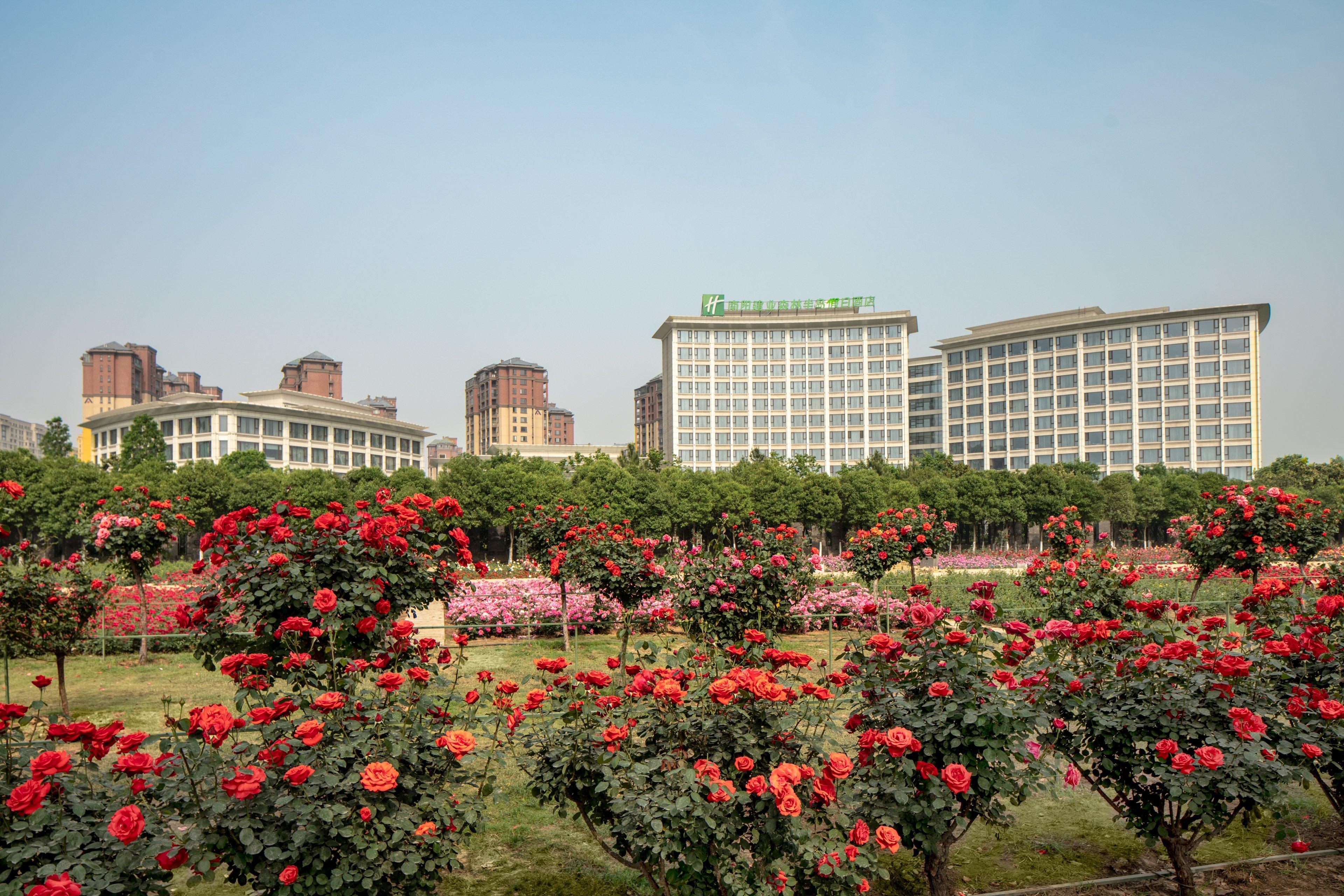 Holiday Inn Nanyang By Ihg Bagian luar foto
