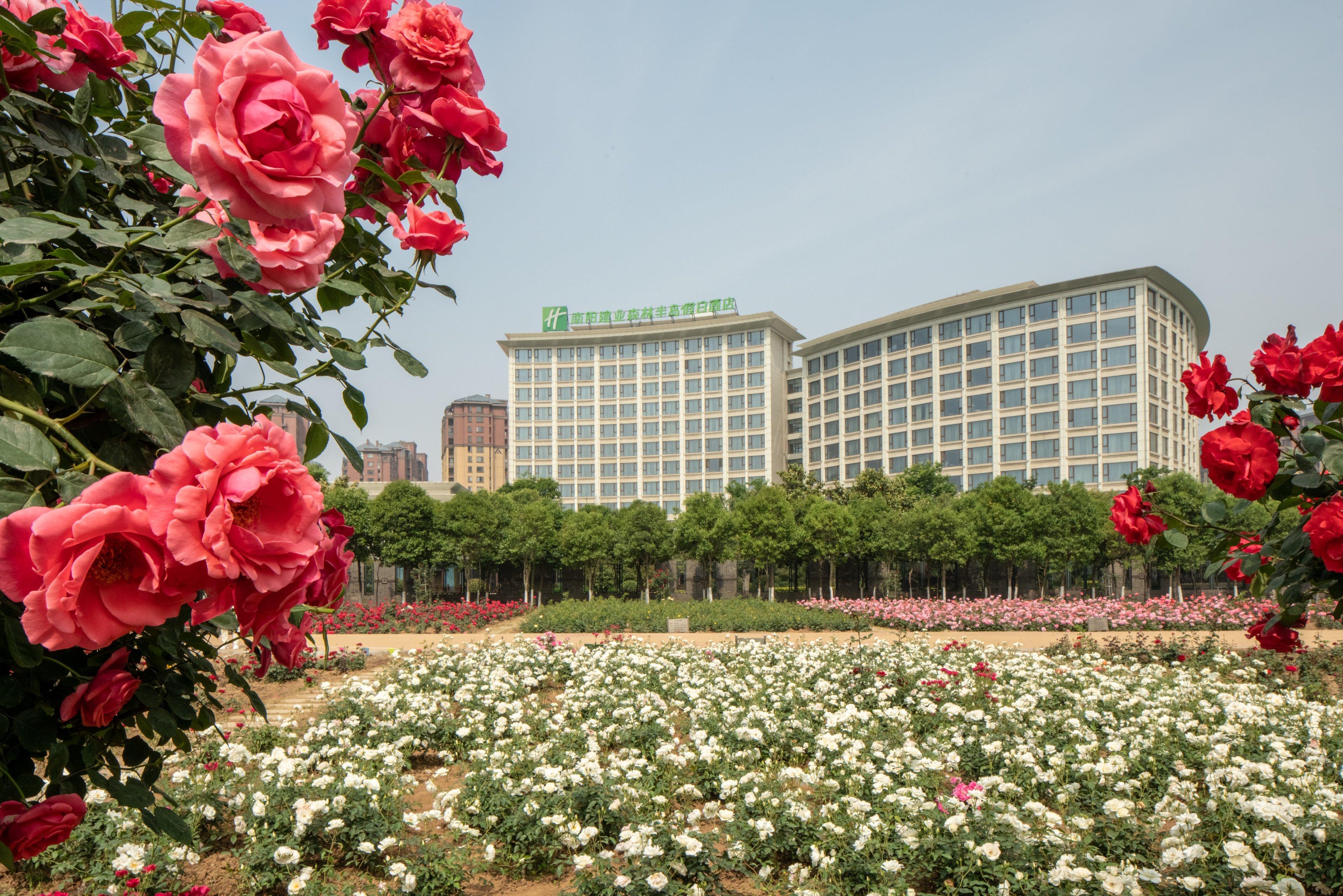 Holiday Inn Nanyang By Ihg Bagian luar foto